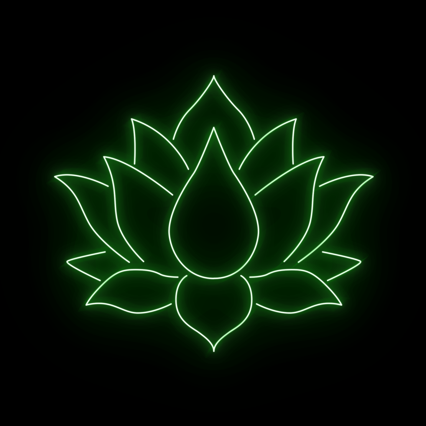 Lotus 2
